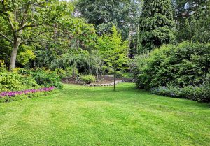 Optimiser l'expérience du jardin à La Chapelle-Aubareil